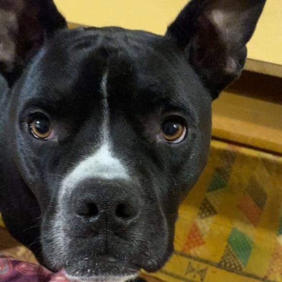 Meet your Posher, Joanne - Picture 1 of 1